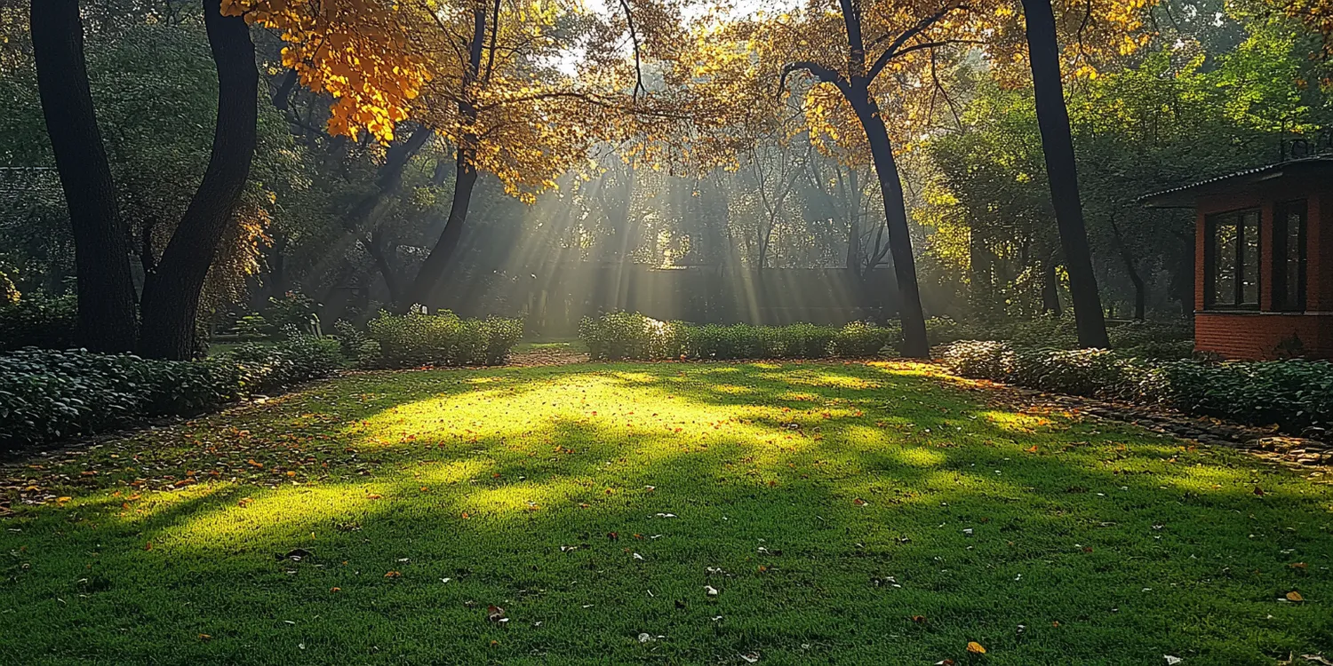 Do kiedy trawa z rolki?